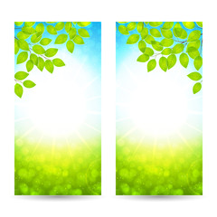 Vector design of the spring banners with leaves and sun. Vector illustration. Realistic spring background with twigs and sunshine, template of poster for your business in A4 size.