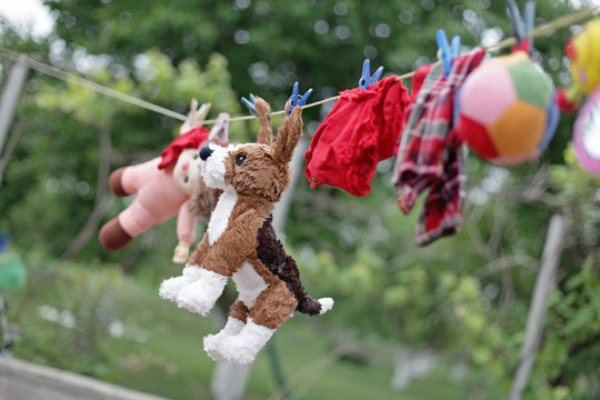 Kid's toys drying on the clothesline
