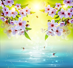 Spring background with japan cherry flowers and lake.