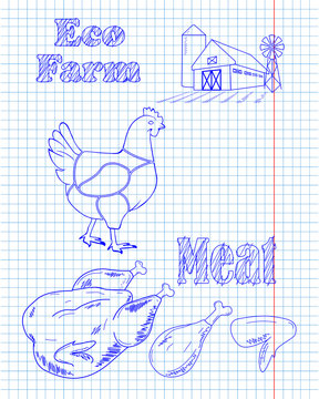 chicken diagram and pieces of meat drawing with pan
