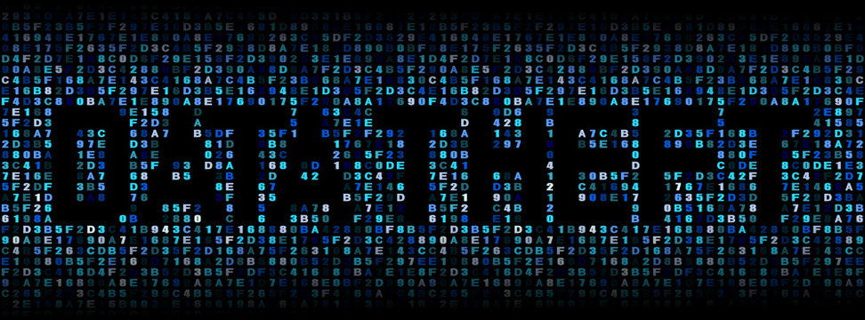 Data Theft text on hex code illustration