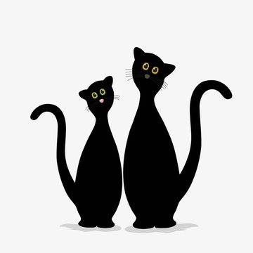 Two cute black cats