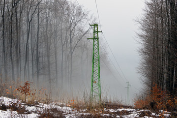 Electric Pole in a Foggy Winter Forest