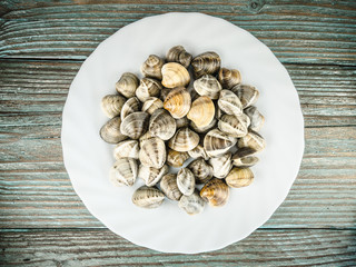 clams on a white plate