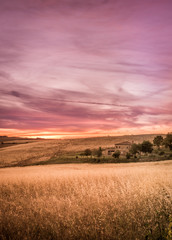 Purple tuscan sunset
