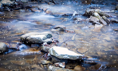 Forest stream in winter
