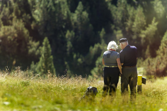 Picture Of A Couple Of Veteran Trekker On Nature.