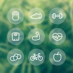 Fitness thick line icons, healthy lifestyle round transparent icons, training, workout, biceps linear icon, vector illustration