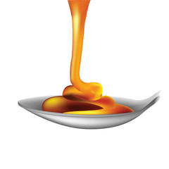 Honey and spoon for your design