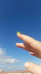 Bruco sul dito di una mano