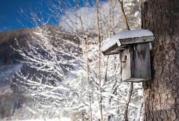 Small wooden bird feeder with a hat of heaped fresh white winter snow and falling snow flakes.