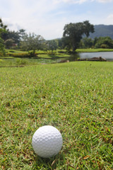 Golf ball on course
