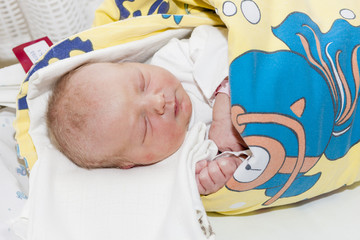 portrait of a newborn baby girl in maternal hospital