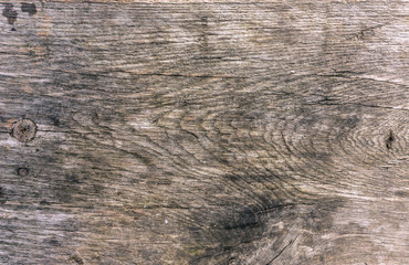 Brown wood texture