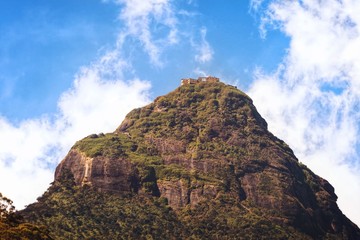 Fototapeta na wymiar A view of Adam's Peak Mountain from Nallathanniya Village, Sri Lanka