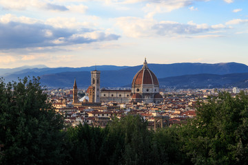 Fototapeta na wymiar Florence City View