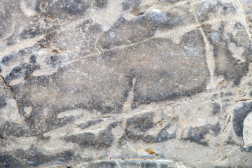 Fototapeta premium Surface of the stone for natural background