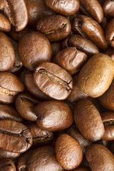 Coffee beans texture background
