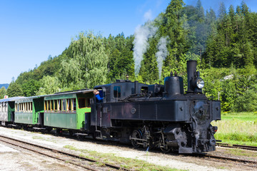 Fototapeta na wymiar steam train, Lunz am See, Lower Austria, Austria