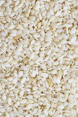 Sesame seed texture background