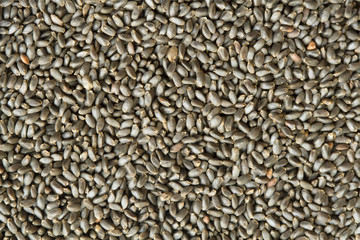 sweet basil seeds background