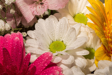 Obraz na płótnie Canvas Decorative Flowers Bouquet