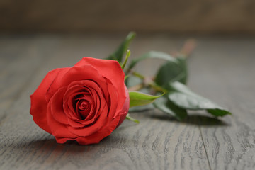 single red rose on wooden table