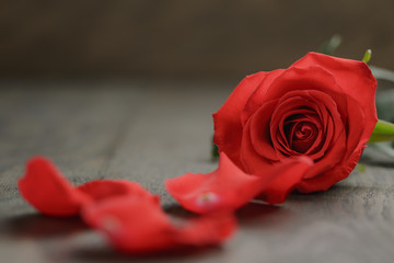 single red rose on wooden table