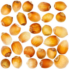 Big size set of forest hazelnuts