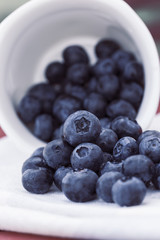 Fresh Blueberry in Cup