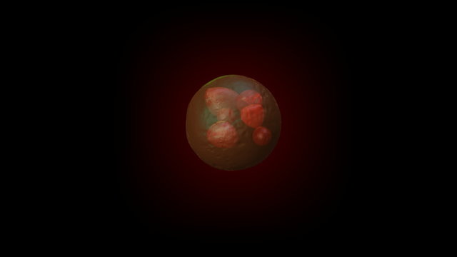 Human embryo on the stage