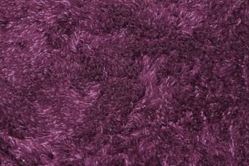 Purple fluffy carpet texture of textile for blank and pure backgrounds