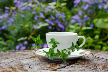 Cup of tea with mint, close-up, selective focus