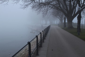 Fototapeta na wymiar Foggy weather in Lake Constance (Bodensee) in Bregenz, Vorarlberg, Austria.