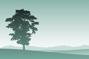 A Lone Tree in Silhouette with Meadow Landscape