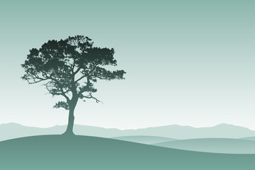 A Lone Tree in Silhouette with Meadow Landscape
