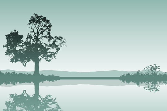 A Countryside Landscape With Tree And Reflection In Water