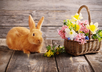 little rabbit with spring flowers