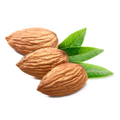 dried almond and leaves on white