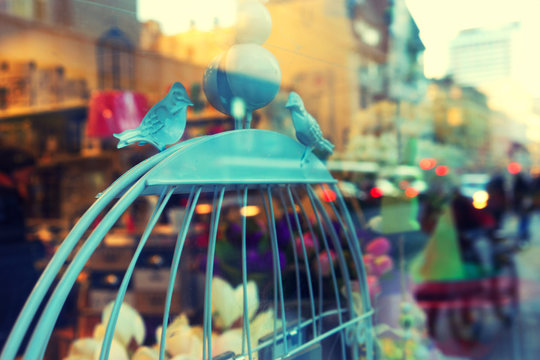 Decorative cage in the window with a blurry image of the city