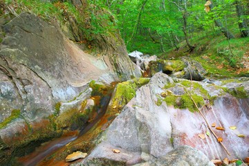 Wild nature with rocks, stream and forest
