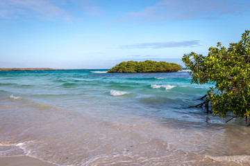  Beach in Santa Cruz Galapagos