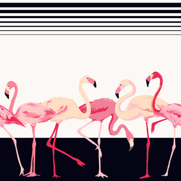 Flamingo Bird Background - Retro Seamless Pattern - in vector
