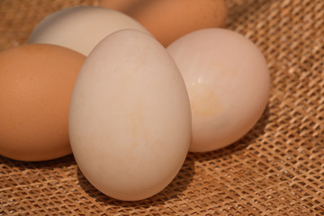 Eggs on wooden background