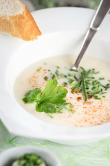 Frische Spargelcremesuppe mit Kräutern