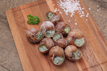Obraz na płótnie Canvas Snails with garlic, butter as french gastronomy gourmet food.