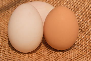 Eggs on wooden background