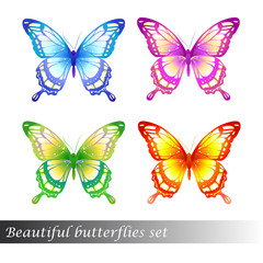 butterflies design