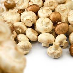 Isolated image of many mushrooms