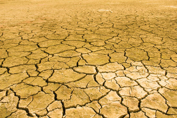 Drought. Backgrounds